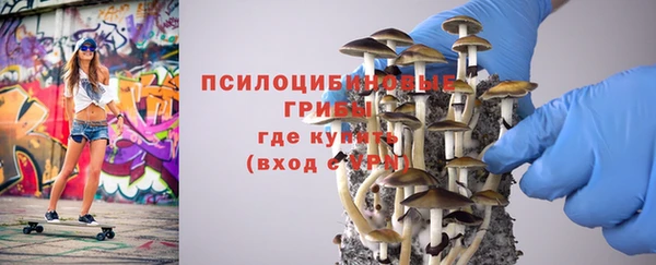 гидропоника Липки